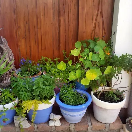 Casa Lin & Casa Blanca 2* Nerezine