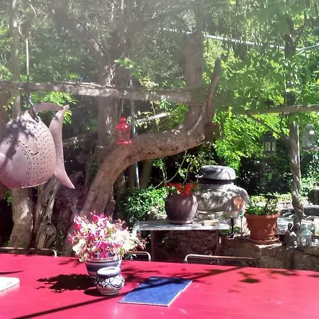 Guest house Casa Lin & Casa Blanca 2*