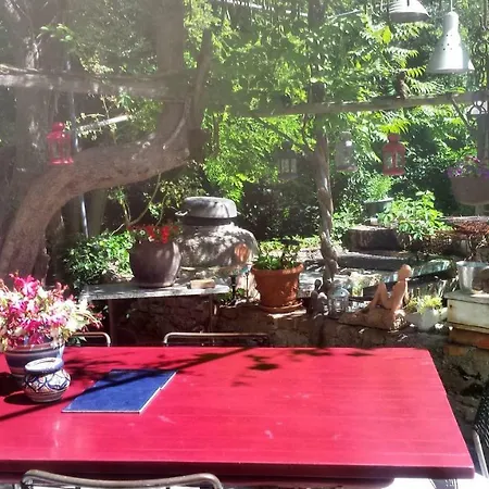 Πανσιόν Casa Lin & Casa Blanca 2*