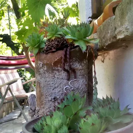 Guest house Casa Lin & Casa Blanca