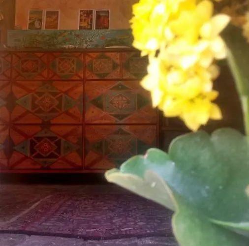 Casa Lin & Casa Blanca