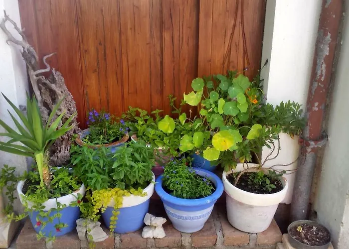 Casa Lin & Casa Blanca 2* Nerezine